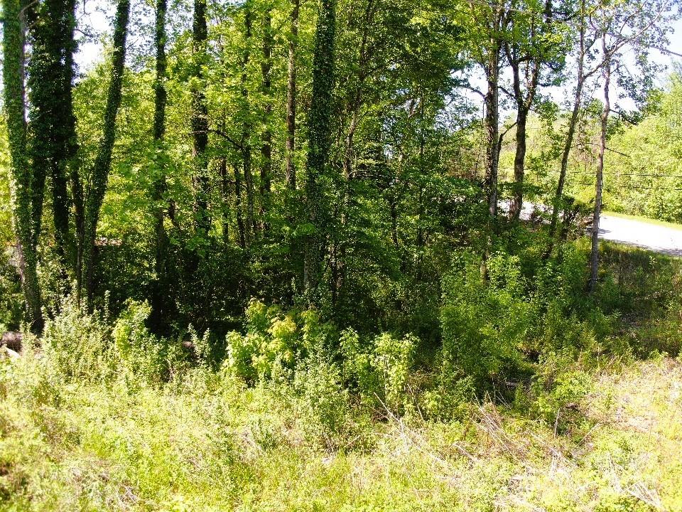 000 Charles Place Property Photo 20