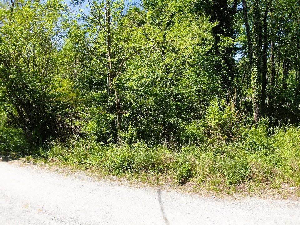 000 Charles Place Property Photo 23