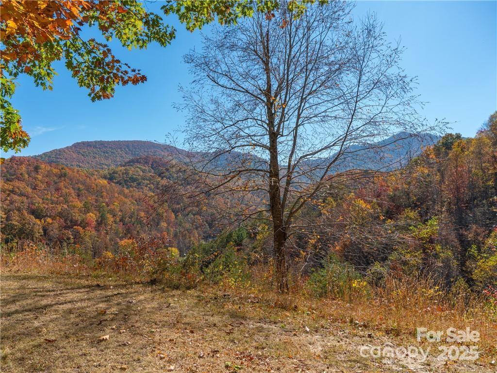 99999 Turkey Creek Road 1 & 2 Property Photo 3