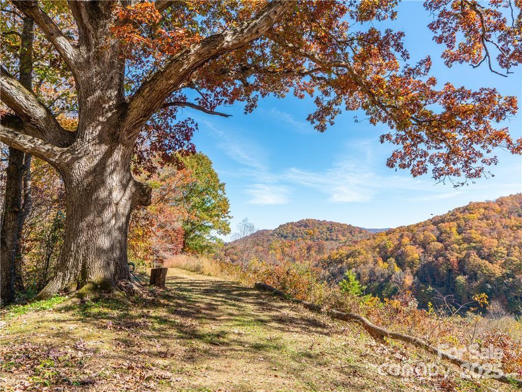 99999 Turkey Creek Road 1 & 2 Property Photo 13