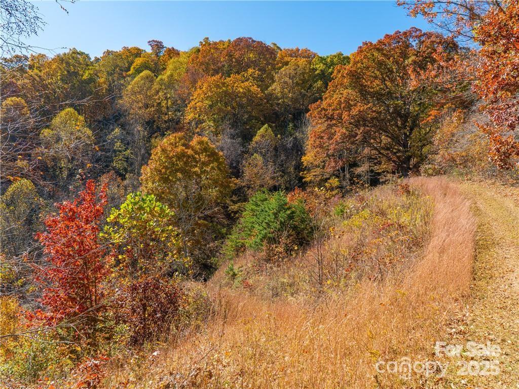 99999 Turkey Creek Road 1 & 2 Property Photo 14