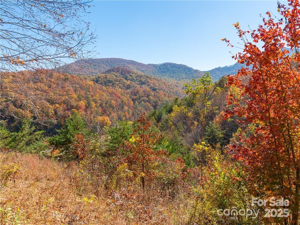 99999 Turkey Creek Road 1 & 2 Property Photo 17