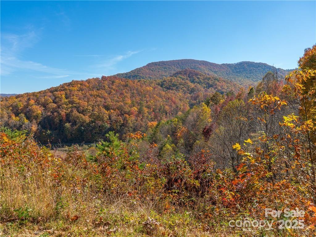 99999 Turkey Creek Road 1 & 2 Property Photo 18