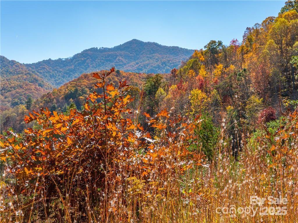 99999 Turkey Creek Road 1 & 2 Property Photo 19