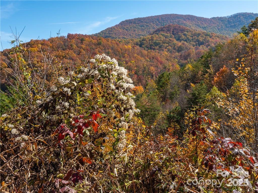 99999 Turkey Creek Road 1 & 2 Property Photo 20