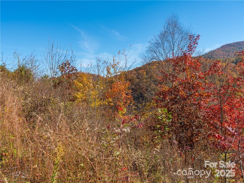 99999 Turkey Creek Road 1 & 2 Property Photo 21