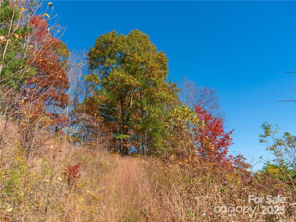 99999 Turkey Creek Road 1 & 2 Property Photo 22