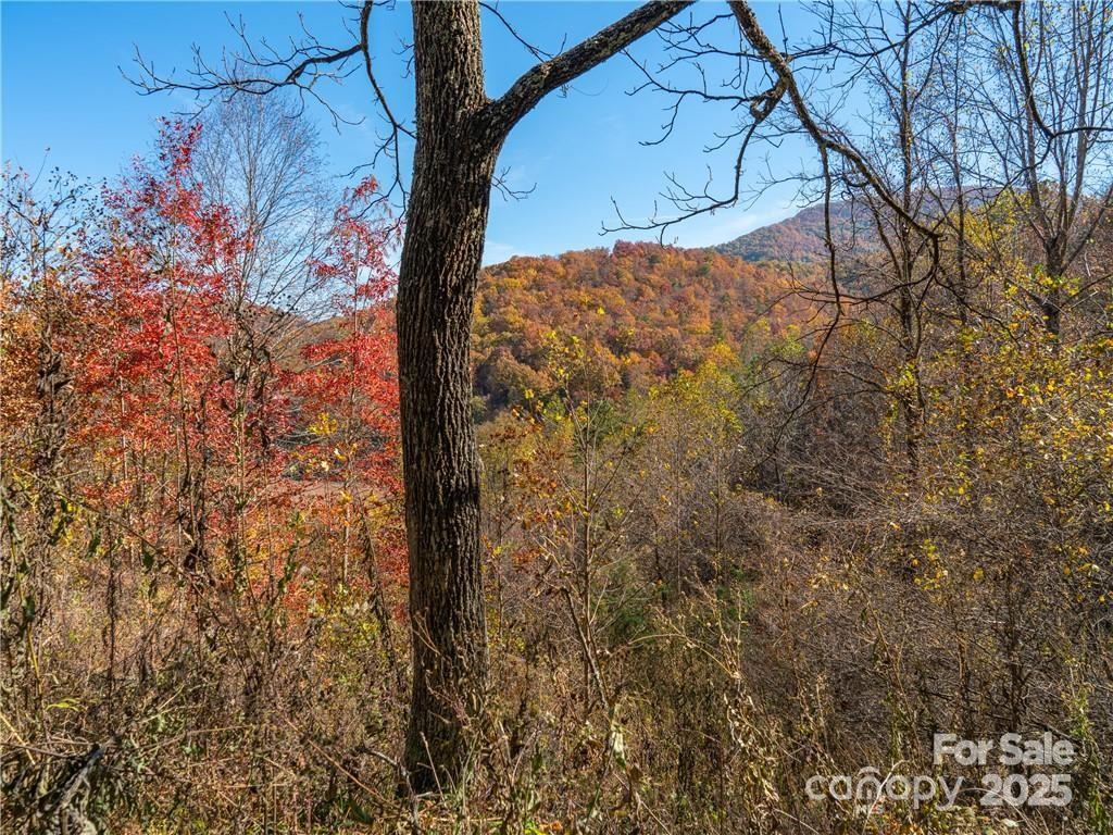 99999 Turkey Creek Road 1 & 2 Property Photo 24
