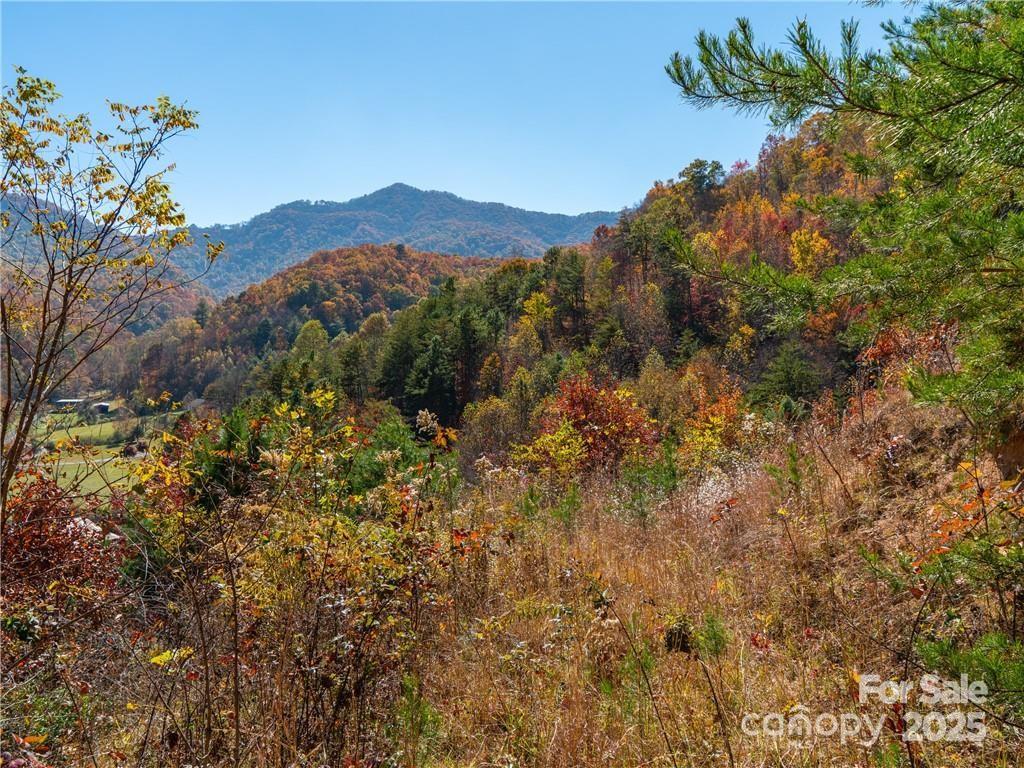 99999 Turkey Creek Road 1 & 2 Property Photo 25