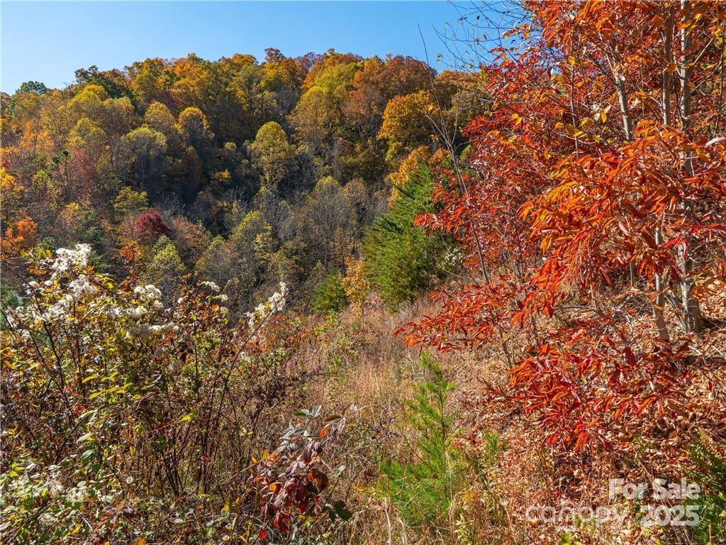 99999 Turkey Creek Road 1 & 2 Property Photo 26