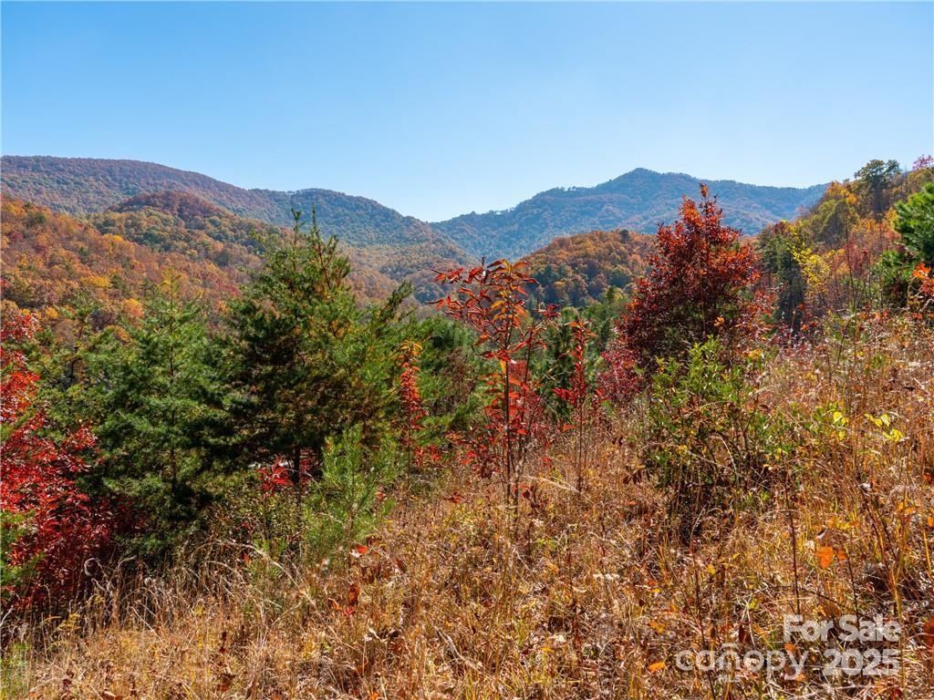 99999 Turkey Creek Road 1 & 2 Property Photo 27