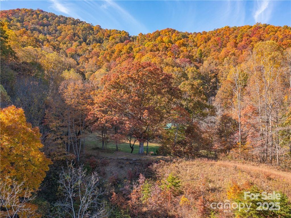 99999 Turkey Creek Road 1 & 2 Property Photo 28