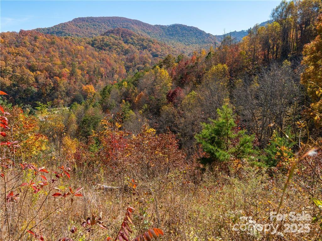 99999 Turkey Creek Road 1 & 2 Property Photo 30
