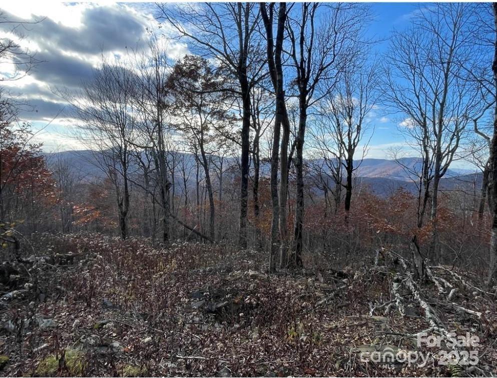 Lot 16 Crown Point Road 16 Property Photo 1