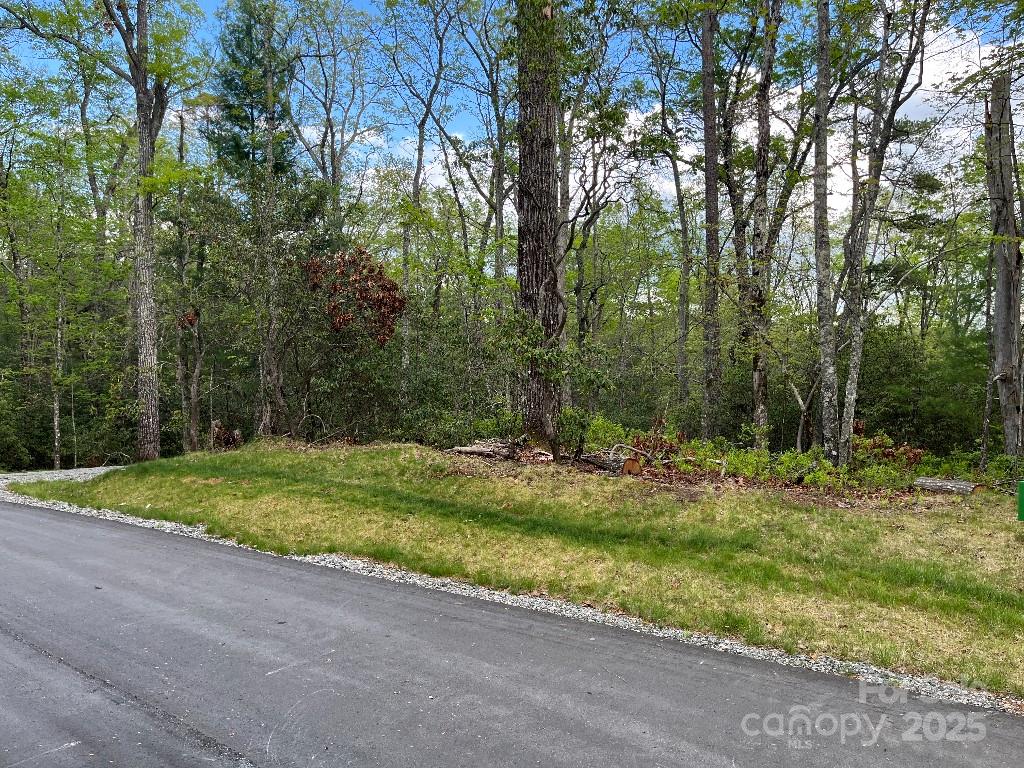 0 Turtle Ridge Trail Property Photo 4