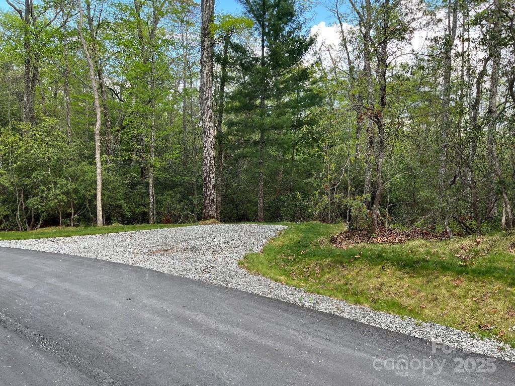 0 Turtle Ridge Trail Property Photo 5