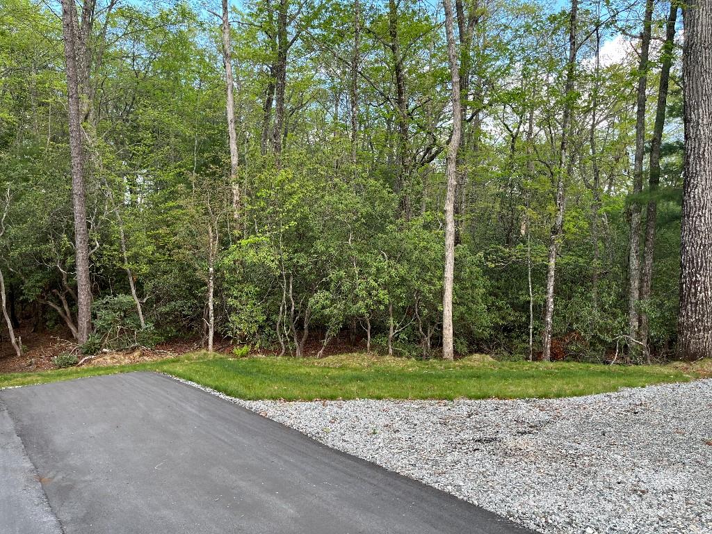 0 Turtle Ridge Trail Property Photo 6