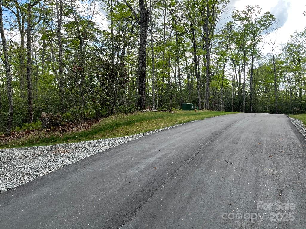 0 Turtle Ridge Trail Property Photo 7