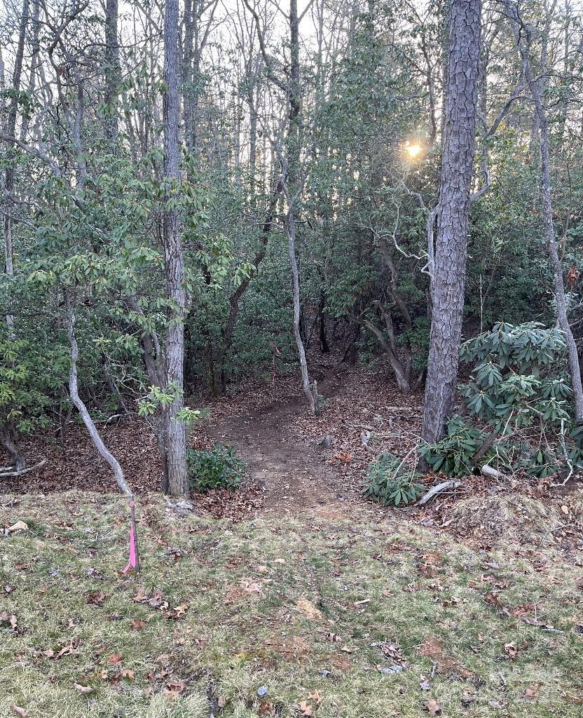 0 Turtle Ridge Trail Property Photo 8