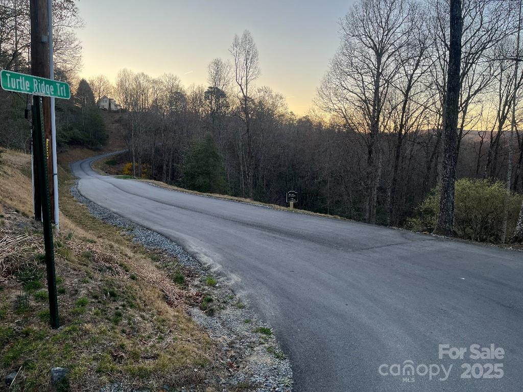 0 Turtle Ridge Trail Property Photo 9