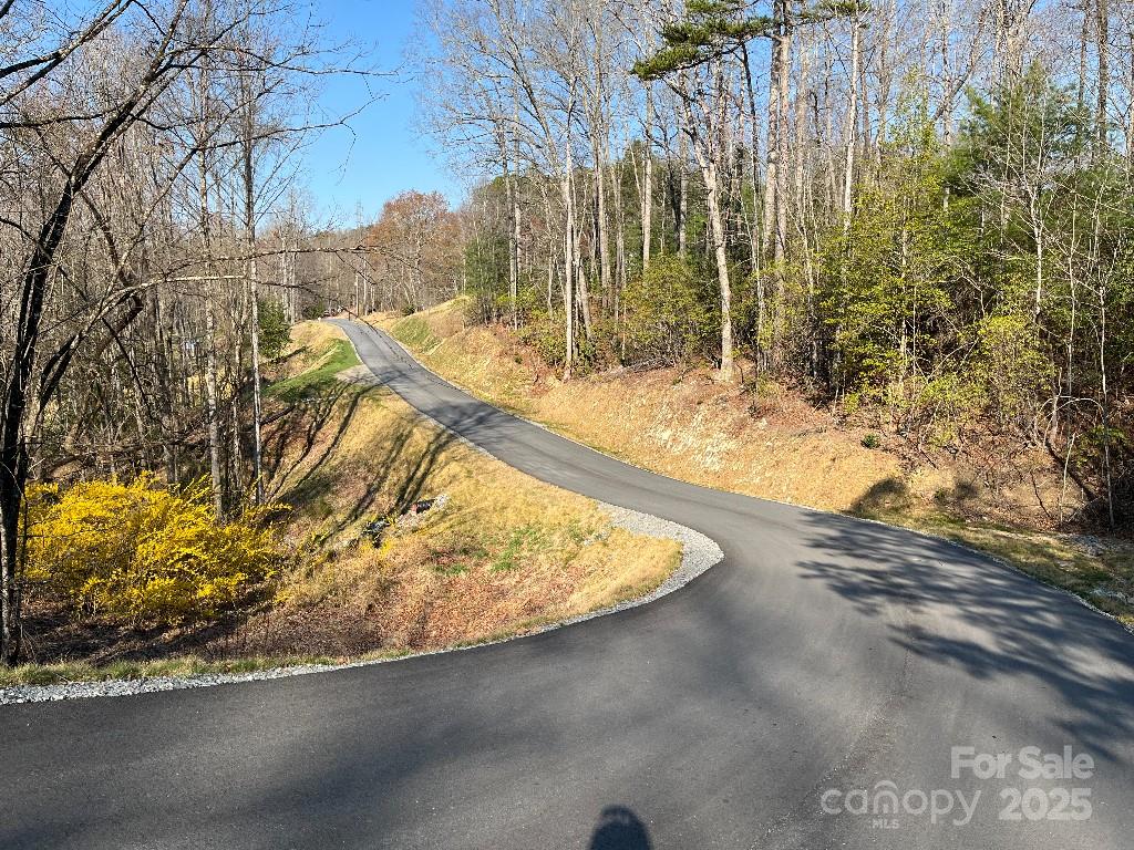 0 Turtle Ridge Trail Property Photo 10