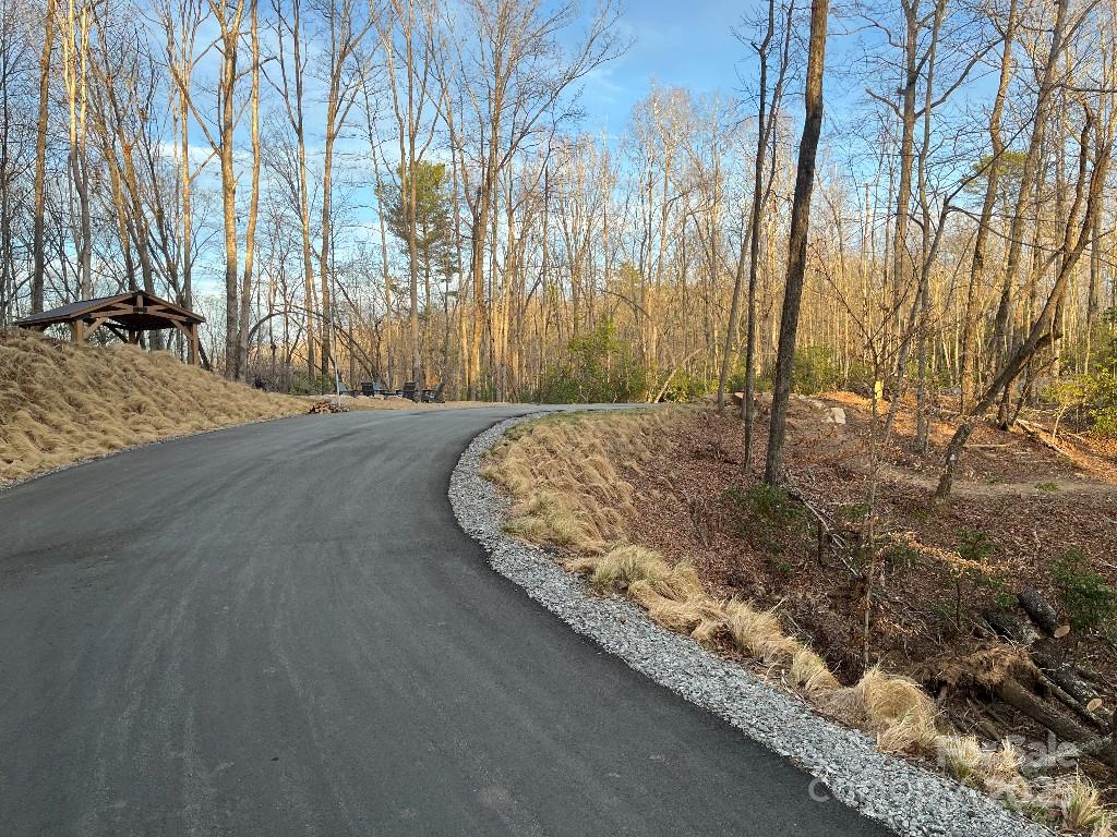 0 Turtle Ridge Trail Property Photo 11