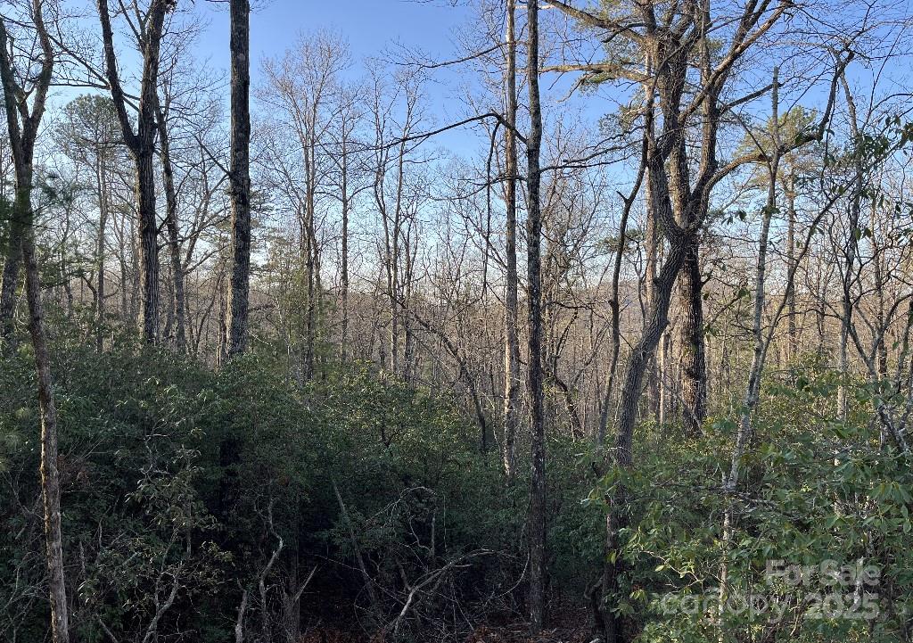 0 Turtle Ridge Trail Property Photo 13