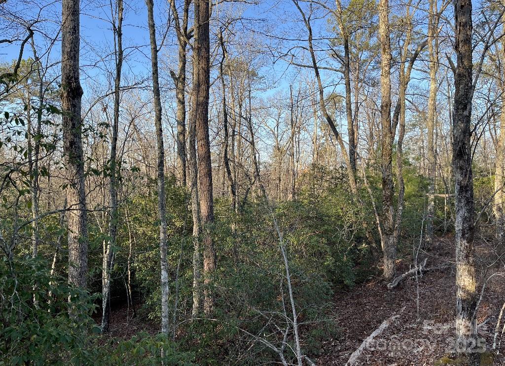 0 Turtle Ridge Trail Property Photo 14