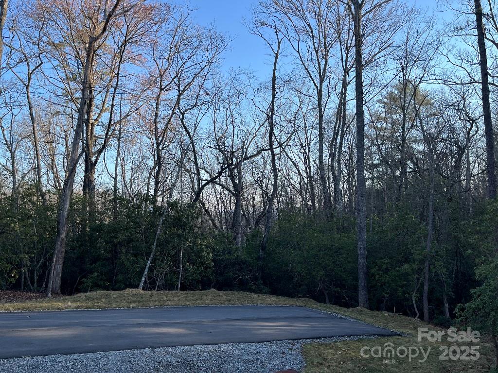 0 Turtle Ridge Trail Property Photo 15