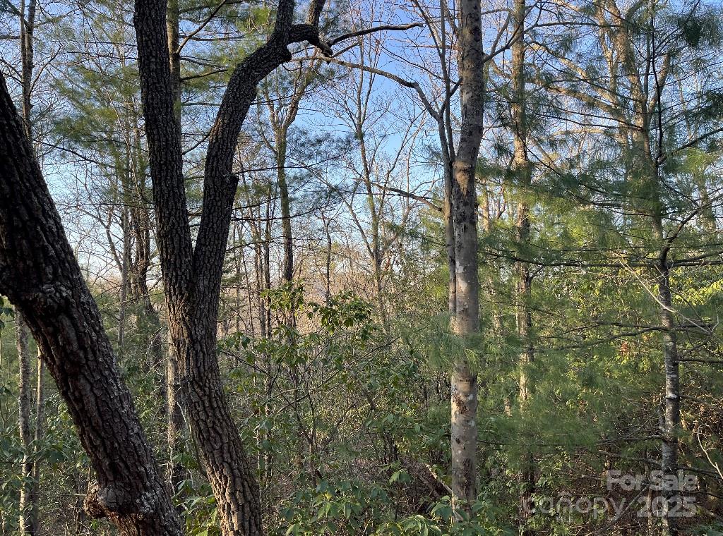 0 Turtle Ridge Trail Property Photo 16