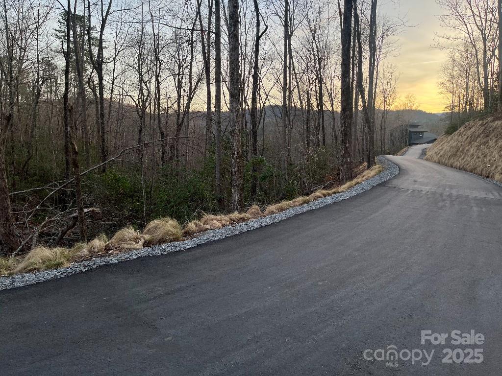 0 Turtle Ridge Trail Property Photo 17