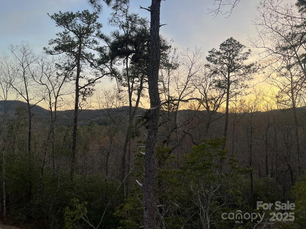 0 Turtle Ridge Trail Property Photo 18