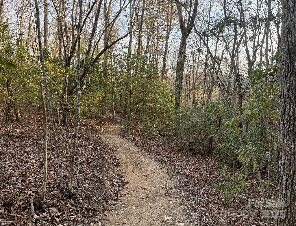 0 Turtle Ridge Trail Property Photo 21