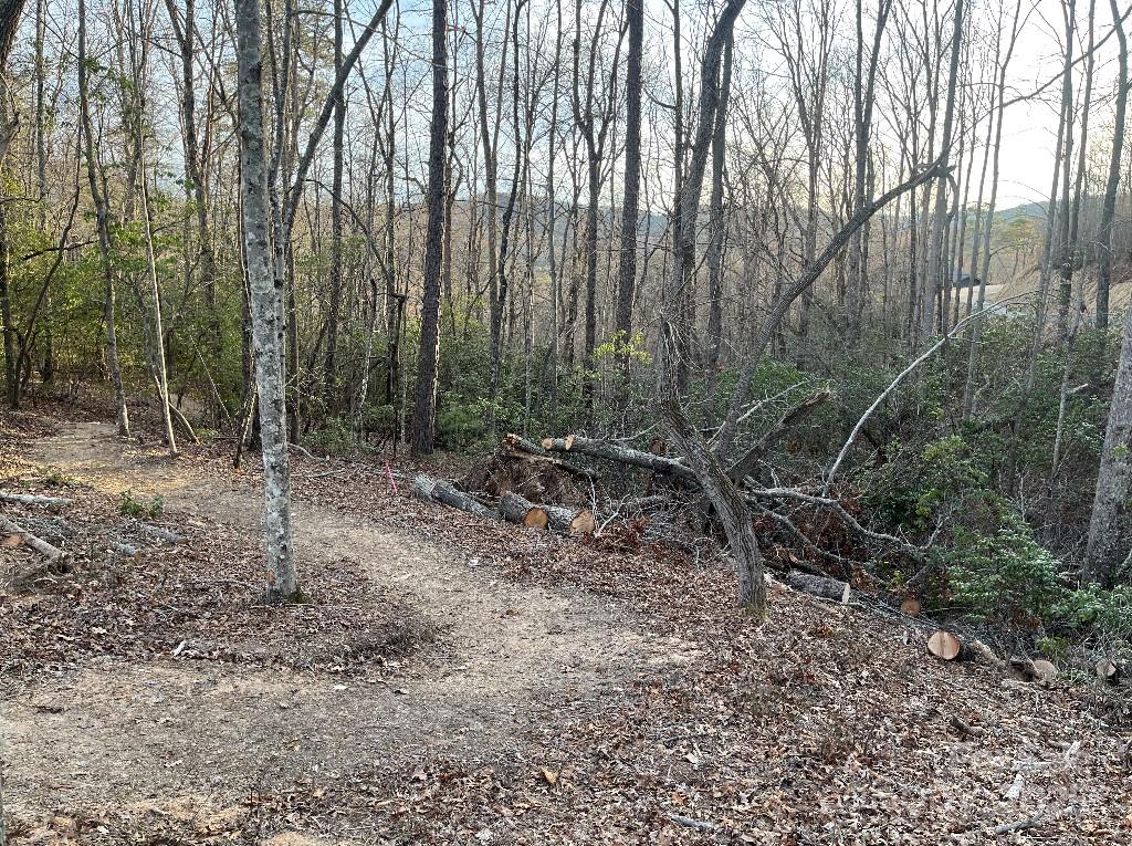 0 Turtle Ridge Trail Property Photo 22