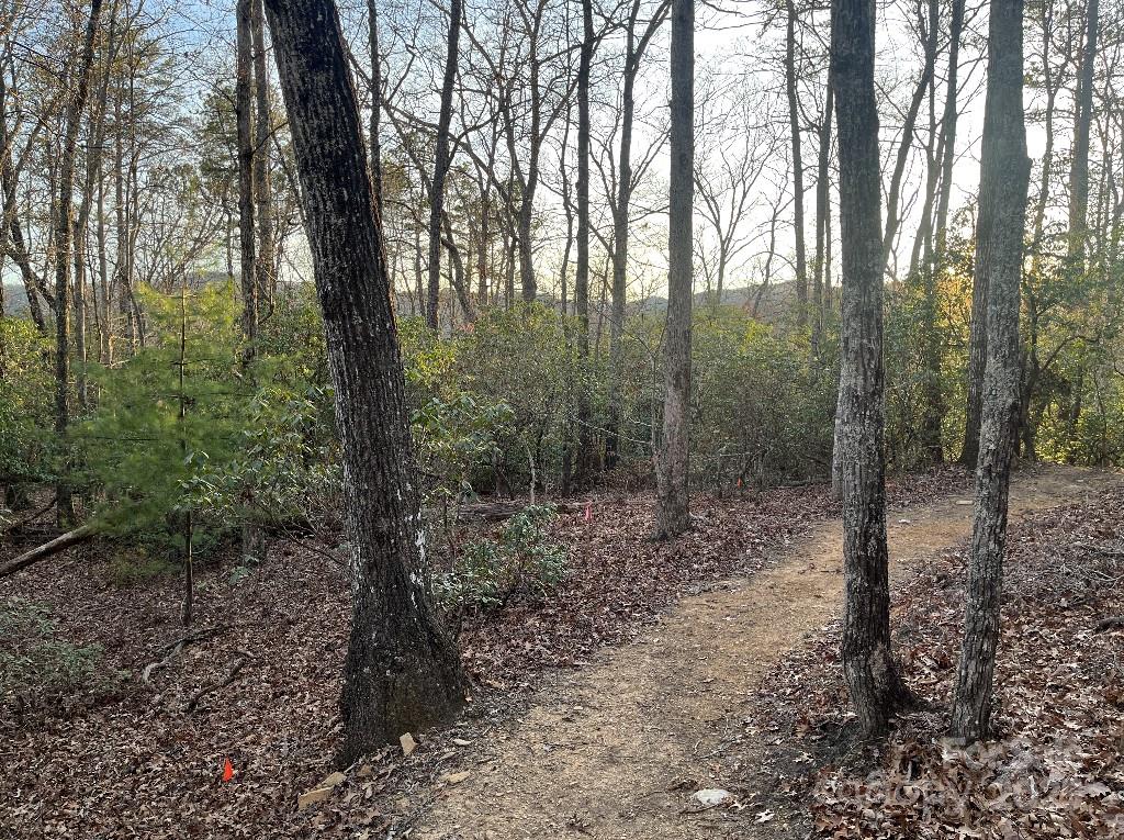 0 Turtle Ridge Trail Property Photo 23