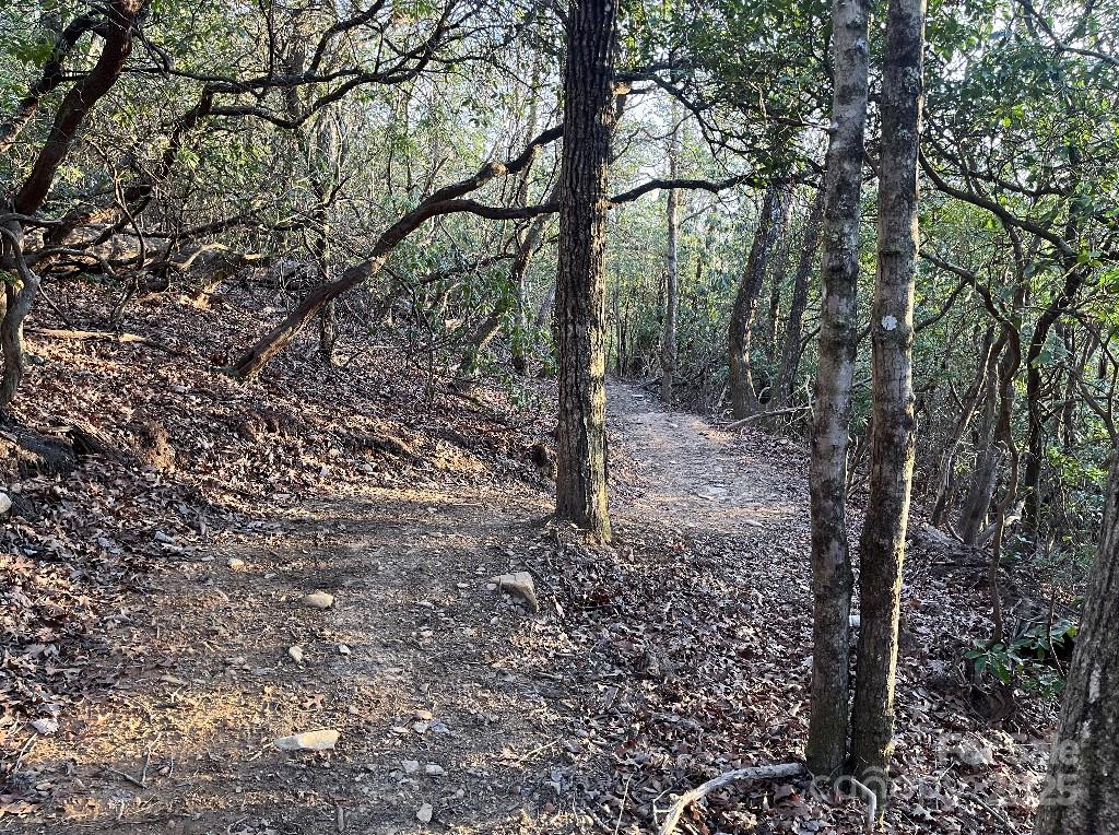 0 Turtle Ridge Trail Property Photo 24