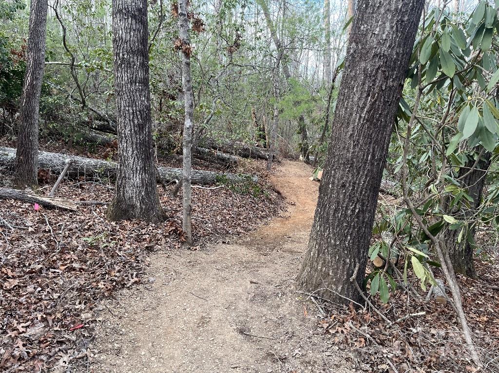 0 Turtle Ridge Trail Property Photo 25