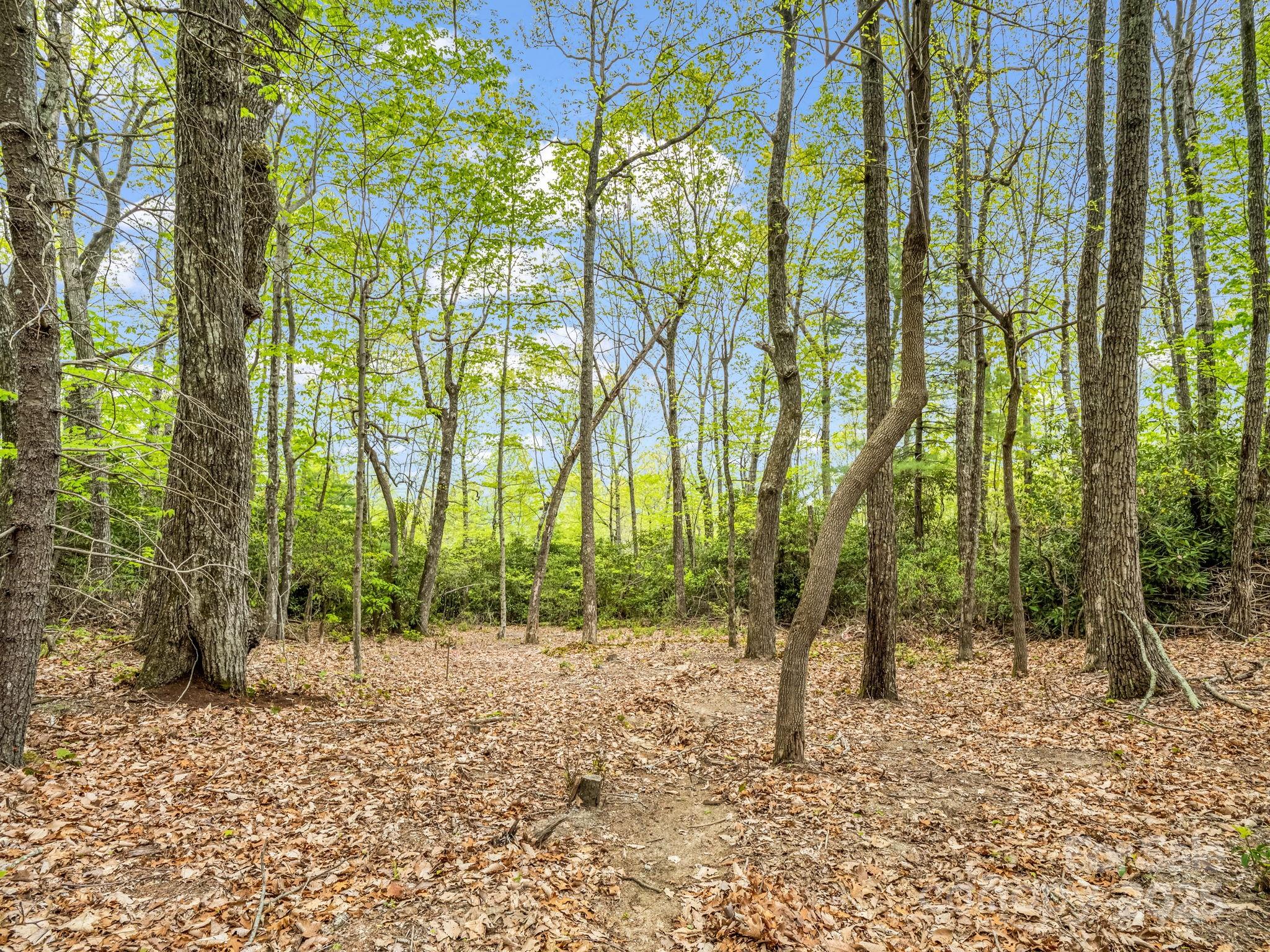 000 Pinnacle Mountain Road Property Photo 4