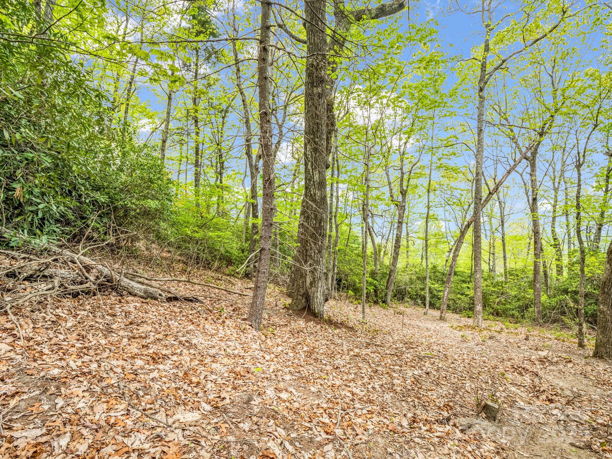 000 Pinnacle Mountain Road Property Photo 11