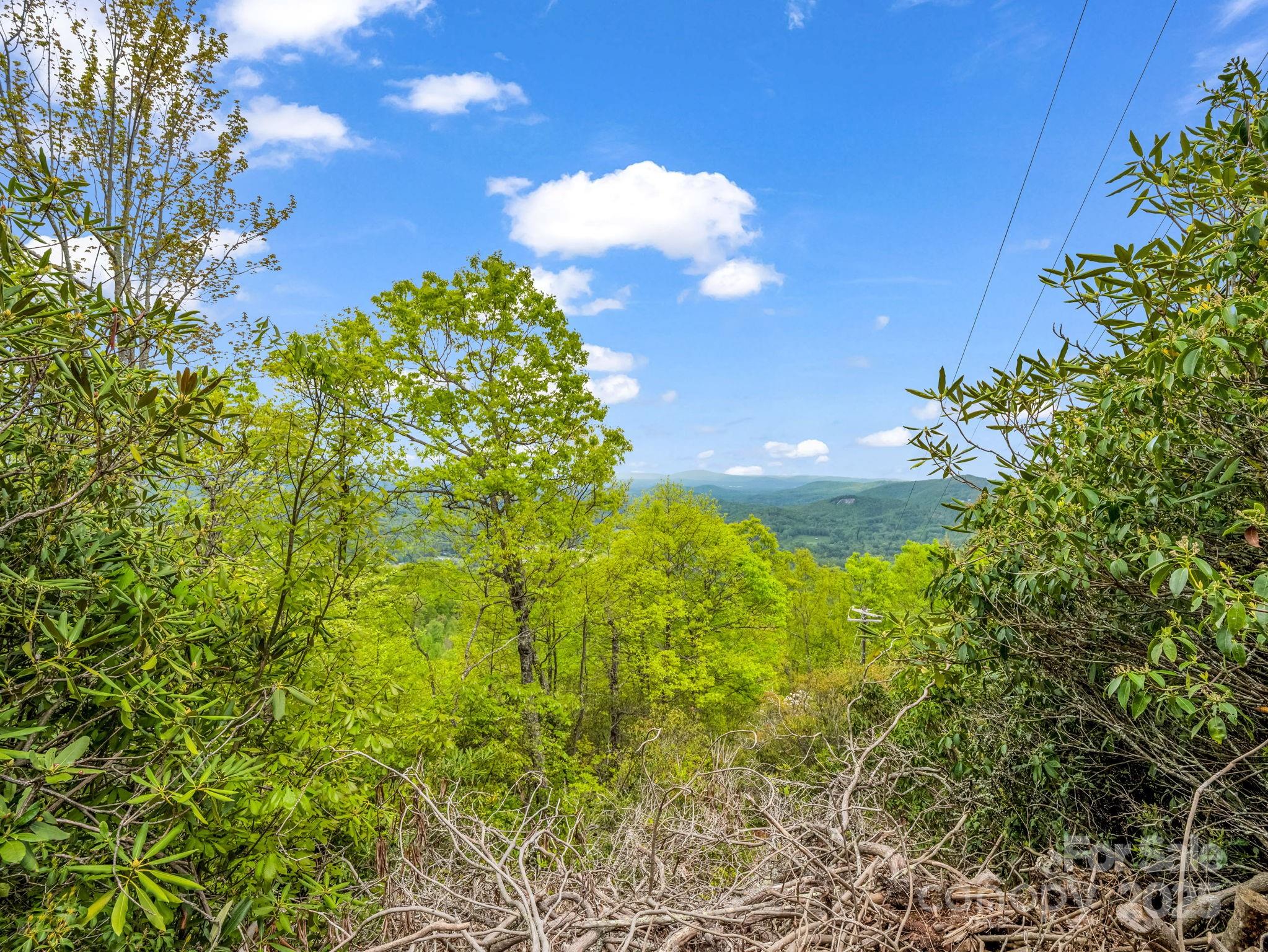 000 Pinnacle Mountain Road Property Photo 13