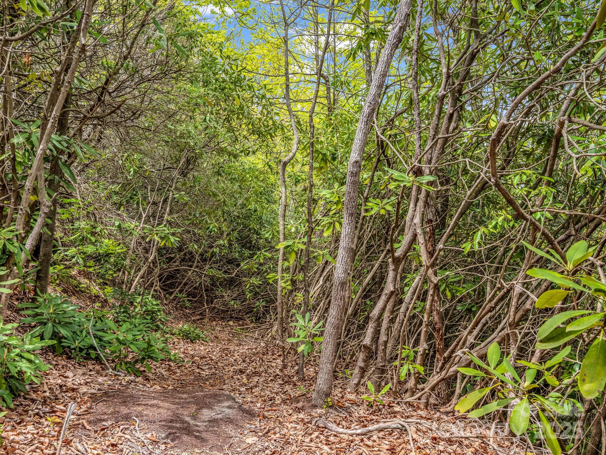 000 Pinnacle Mountain Road Property Photo 14