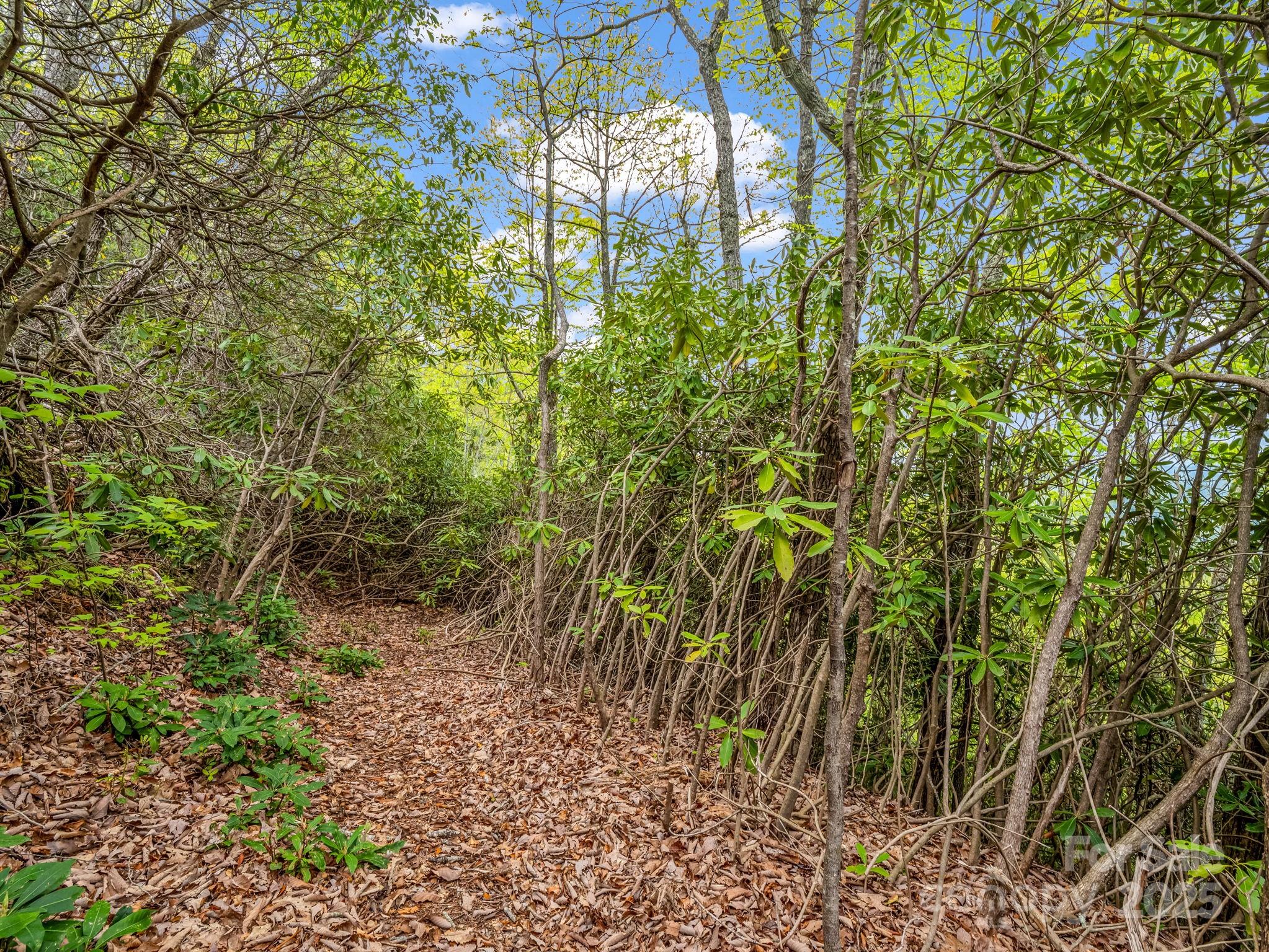 000 Pinnacle Mountain Road Property Photo 15