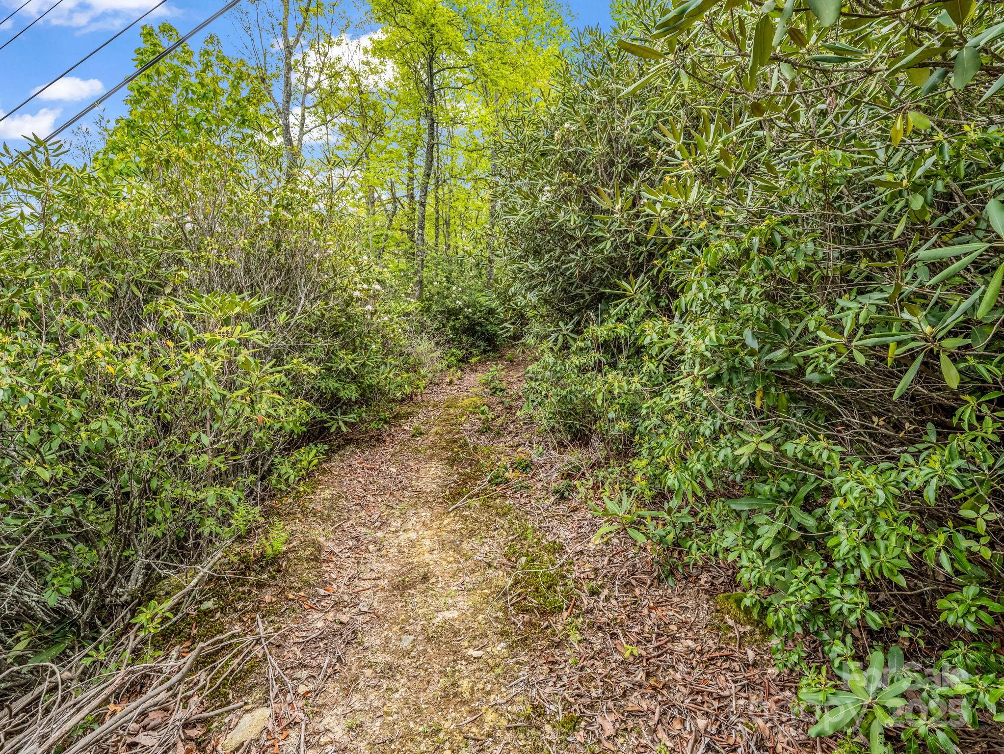 000 Pinnacle Mountain Road Property Photo 19