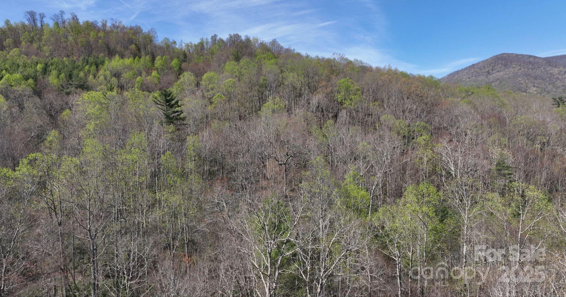 0 Gusher Knob Road Property Photo 1