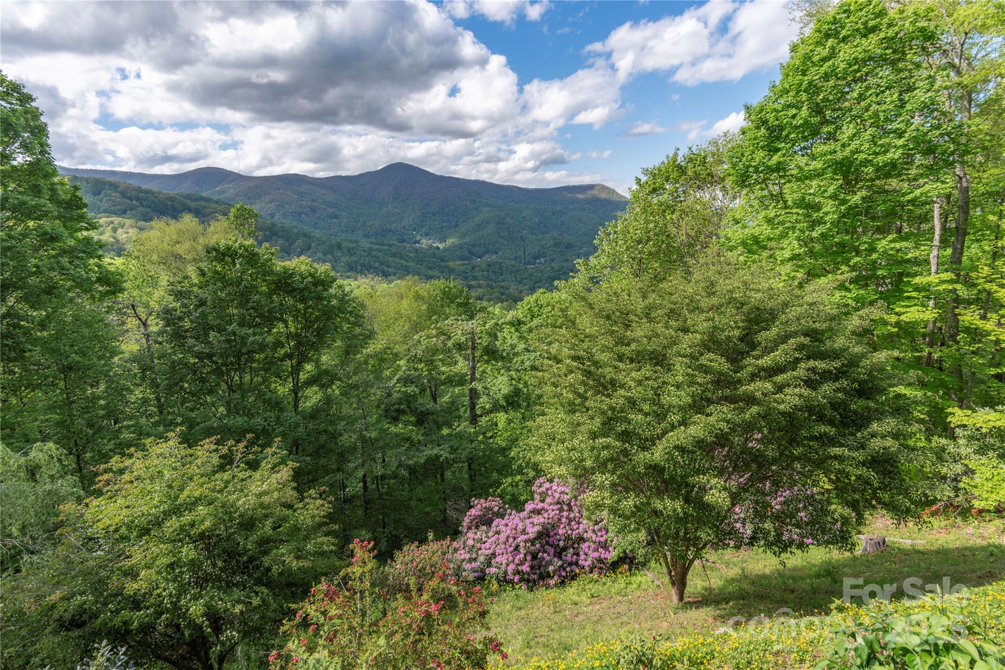 806 Twin Brook Drive 6a,6b,7a,7b Property Photo 14