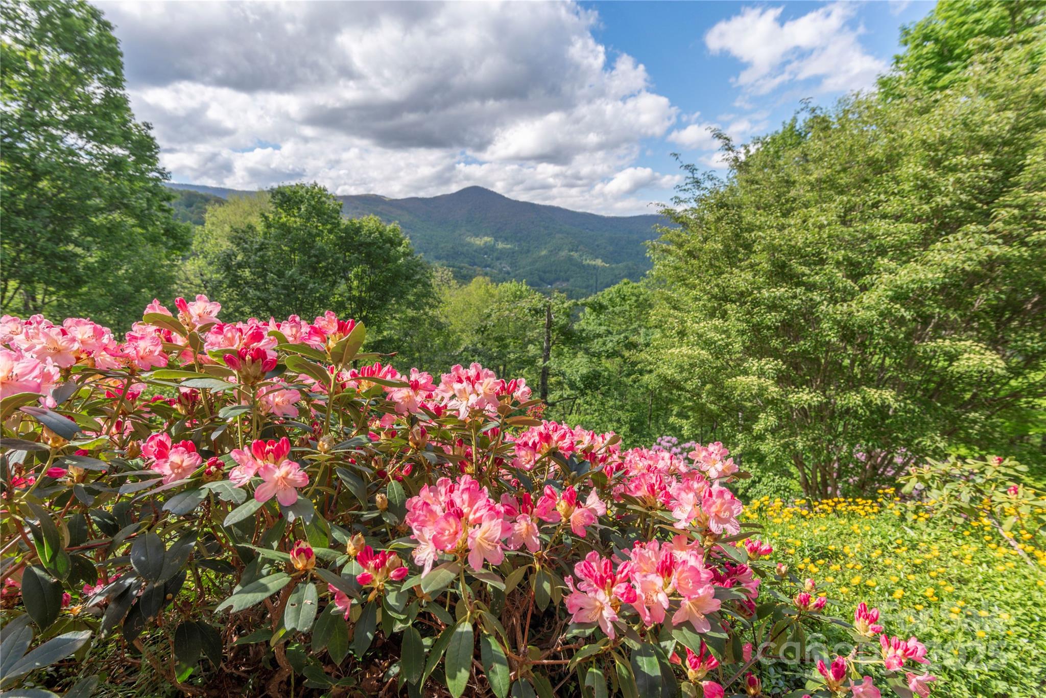 806 Twin Brook Drive 6a,6b,7a,7b Property Photo 45