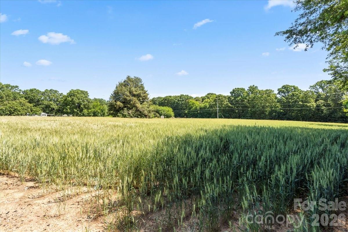 0 Secrest Shortcut Road Property Photo 7