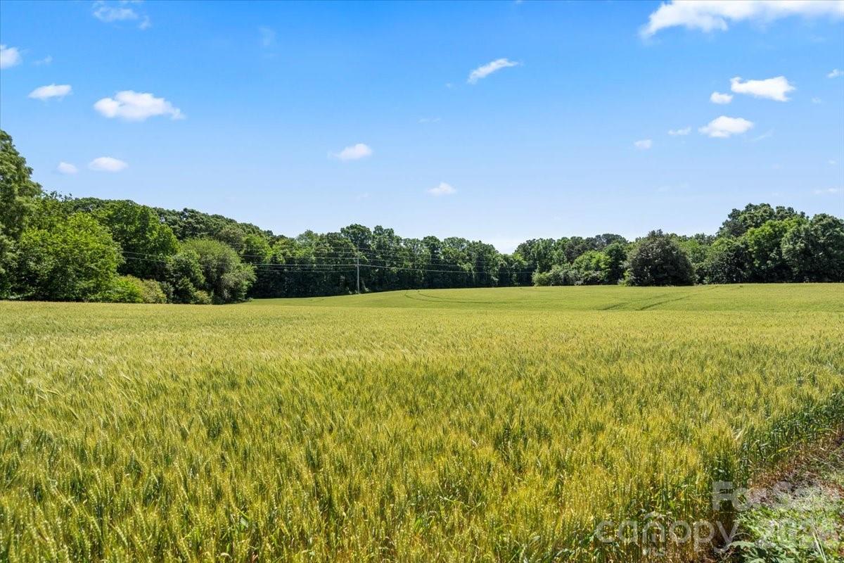 0 Secrest Shortcut Road Property Photo 12