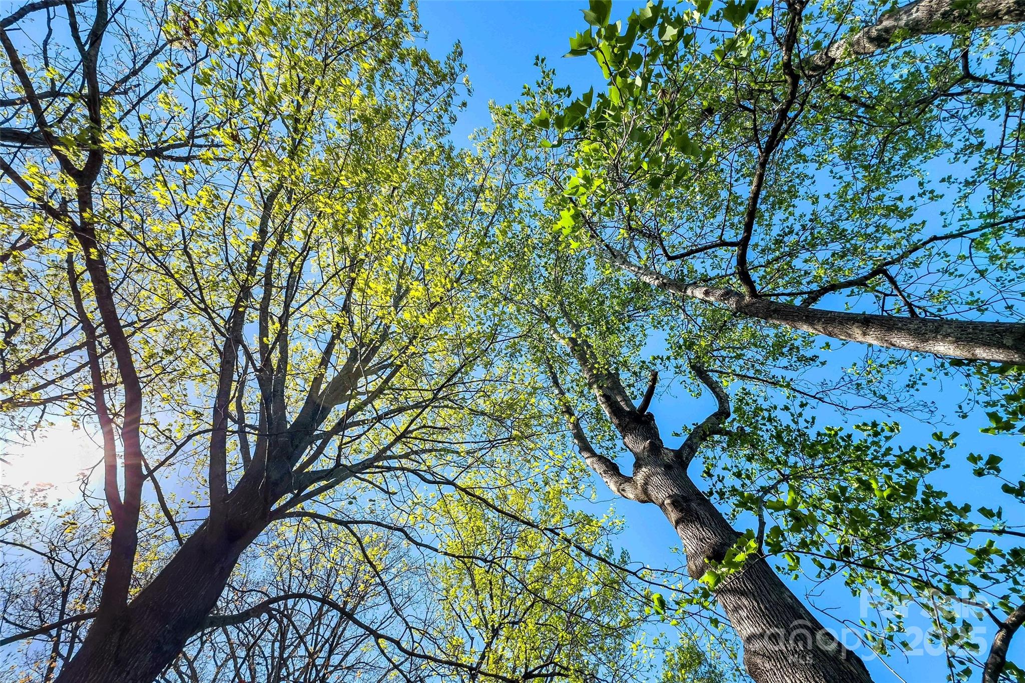 36 & 50 Catawba Avenue Property Photo 13