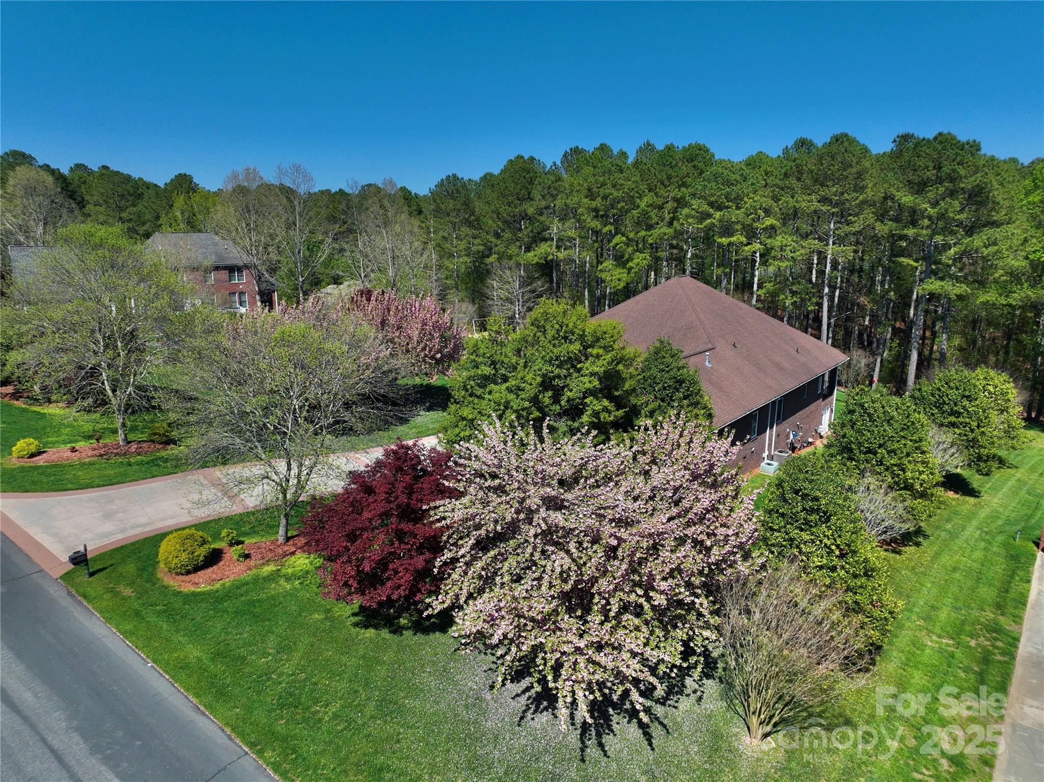5342 Beacon Ridge Drive Property Photo 5